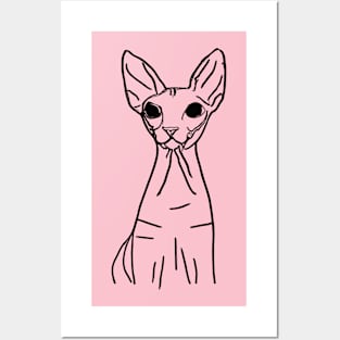 Sphynx cat Posters and Art